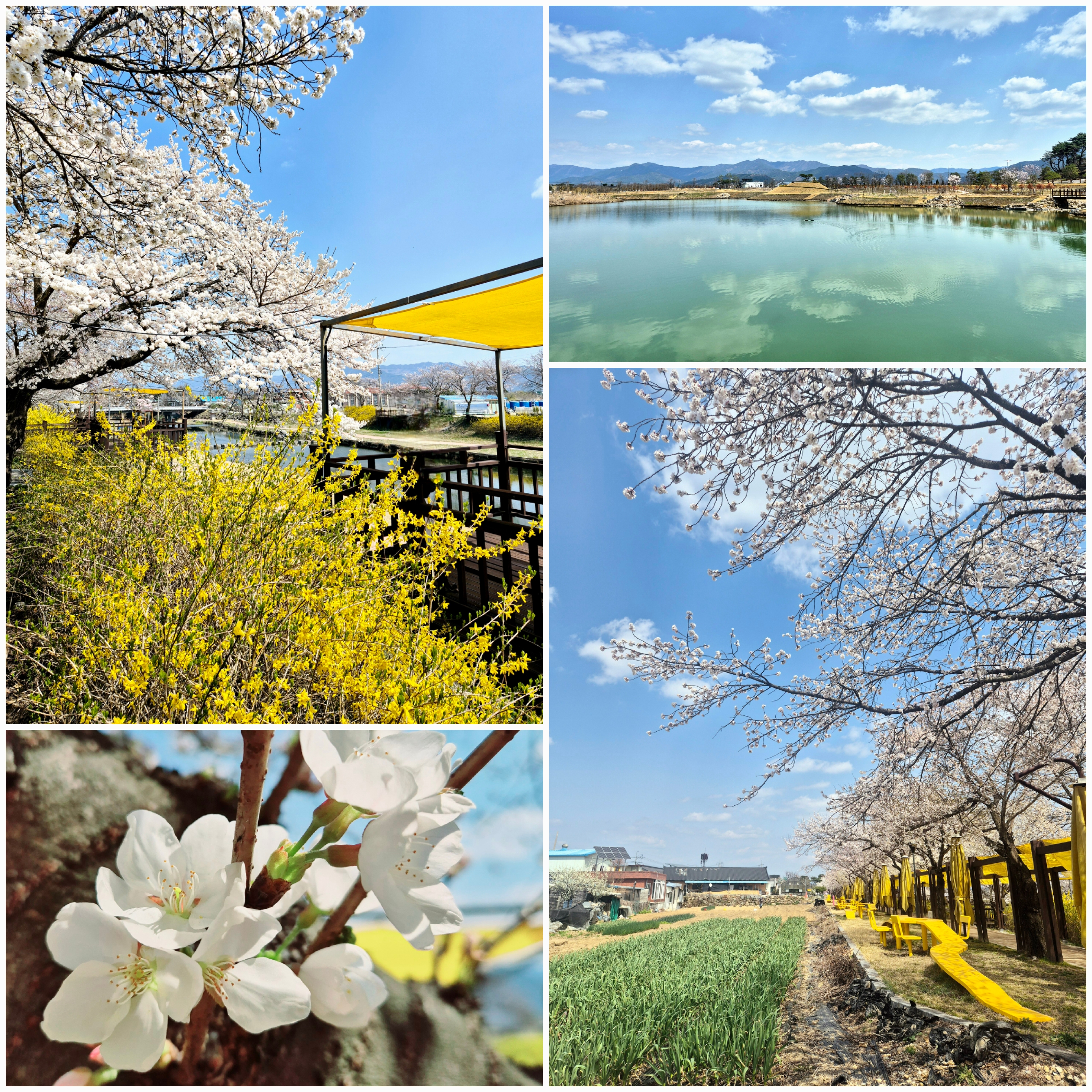 2025년 사회복지과 MT  상세정보 페이지로 이동하기